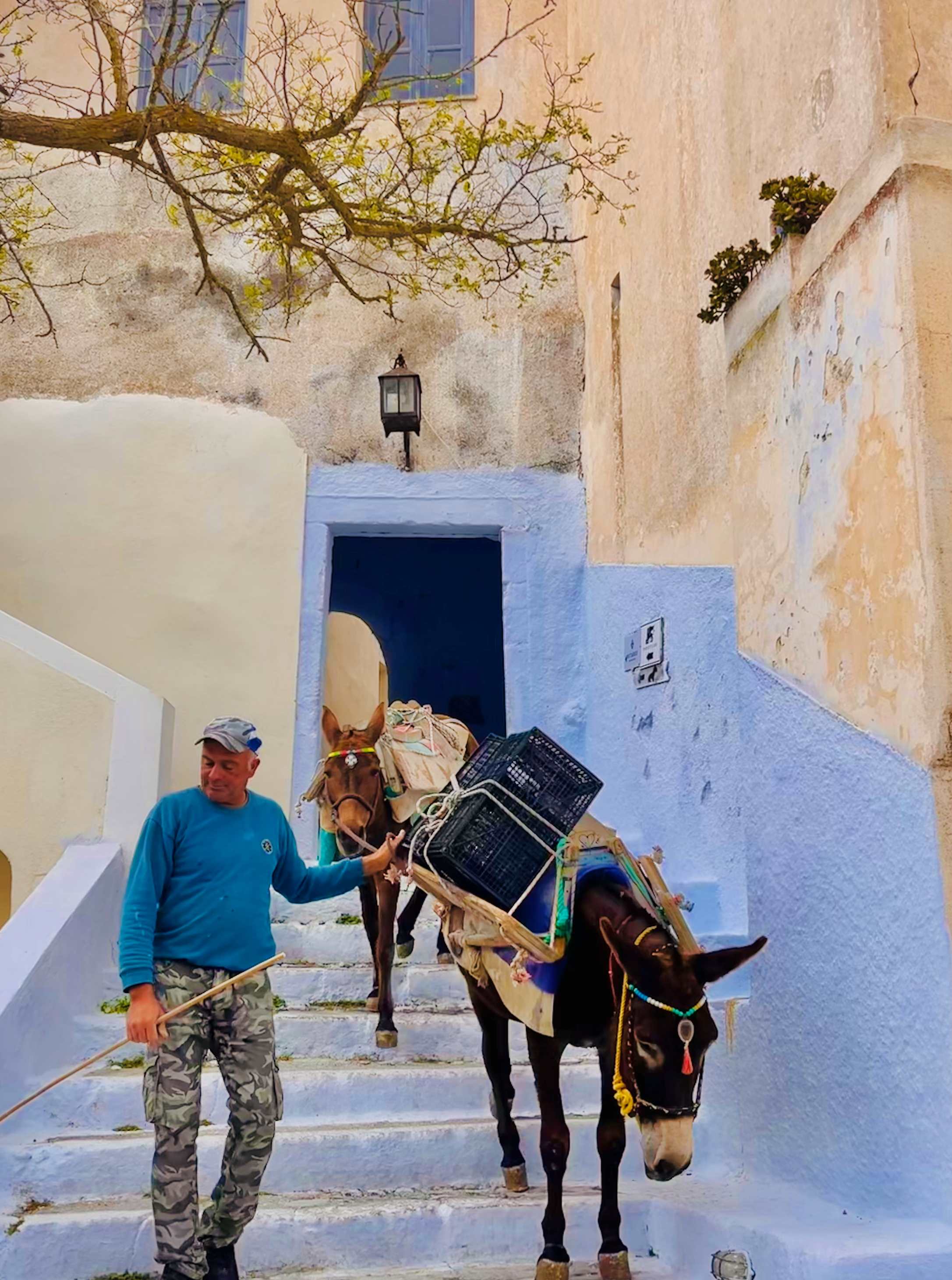 Best Places to Visit in Greece Santorini Donkey on Stairs