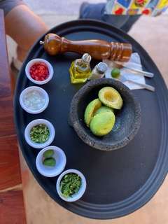 driving to cabo - guacamole