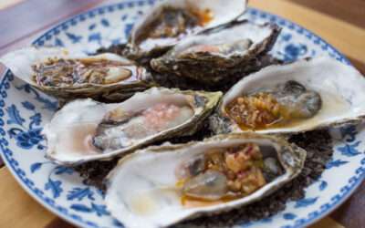 Ten Best Romantic Restaurants in San Jose del Cabo