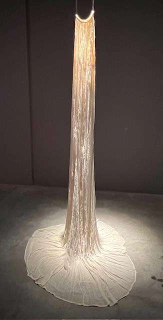 Buenos Aires Museums: Cento Cultural Recoleta - Beautiful Gown