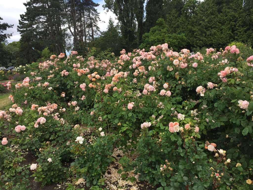 World Botanical Gardens - Elezabeth's walk