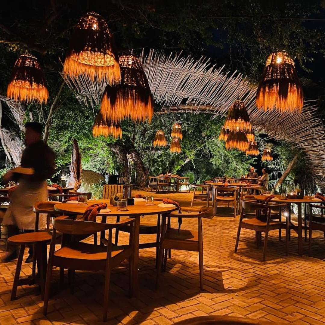 Jose del Cabo best restaurant Semillon