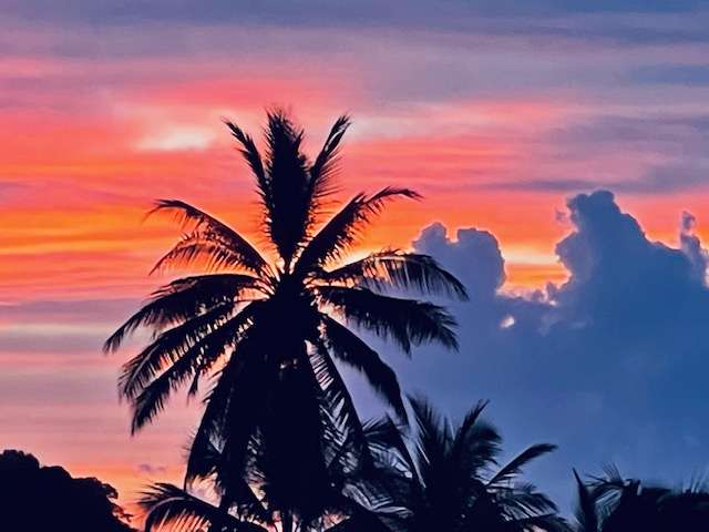 Silouette of palm tress against large clouds and pink/orange/sky at sunset in Tahiti