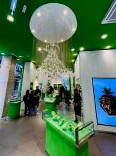 Interior Picture of High-end Shop