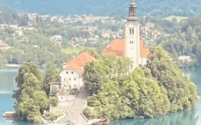 June 2024 Newsletter