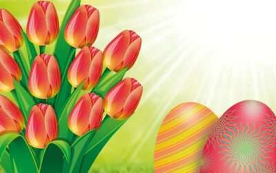 March 2024 Newsletter