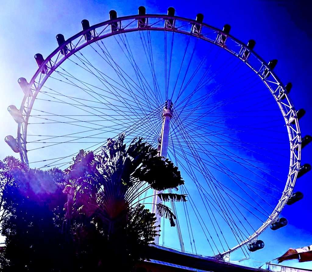 Best Place to Go in Singapore Flyer