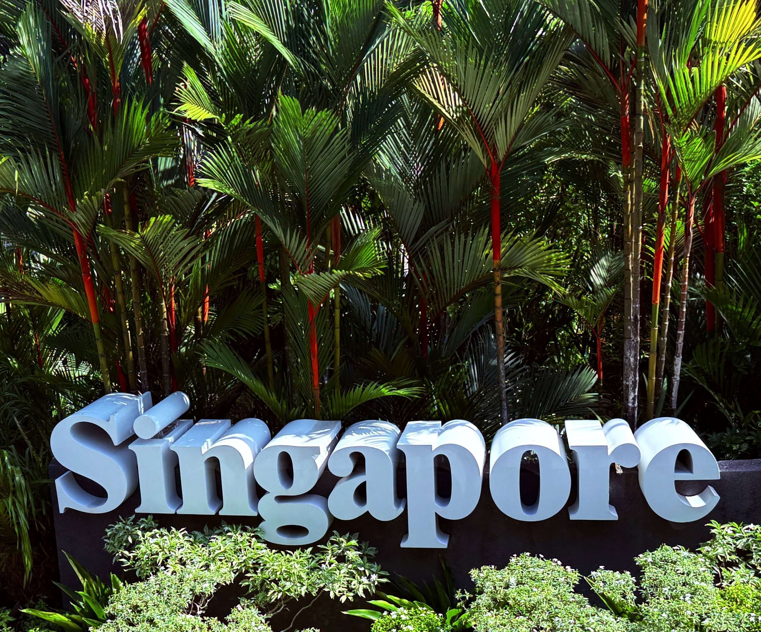 Best Time to Visit Singapore