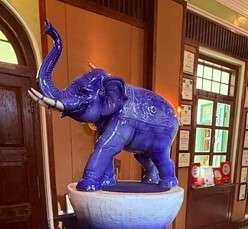 traveling to Phuket: Blue elephant statue in decorated room