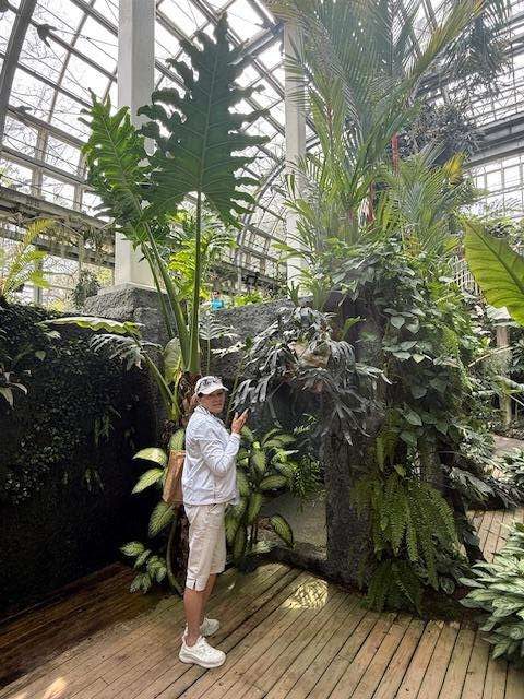 plants in greenhouse
