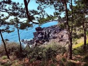 jeju island volcano 2 Jeju Island Tour