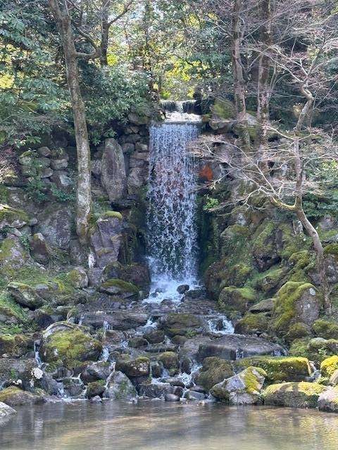 waterfall at the garden