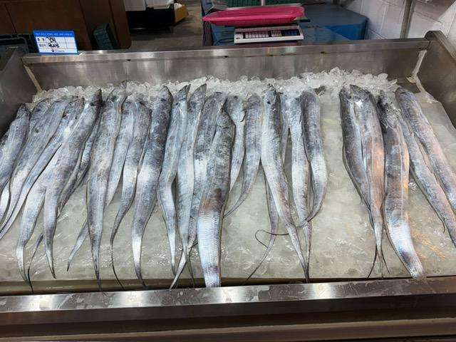 fish