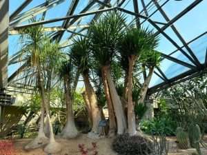 Yeomiji Botanical Garden