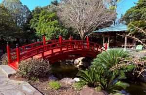 japanese and korean garden -Yeomiji Botanical Garden