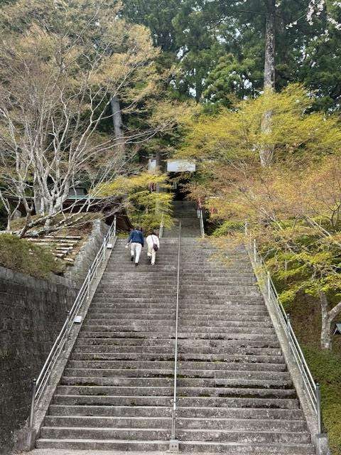 boardwalk leading up to the Temple