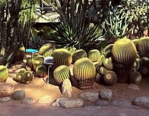 indoor greenhouse - Yeomiji Botanical Garden