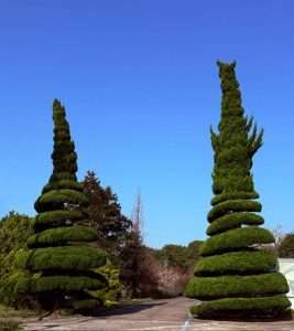Yeomiji Botanical Garden