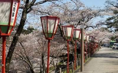 Nagoya, Kanazawa & Shimizu Japan: Gateway to Mt Fuji Visibility