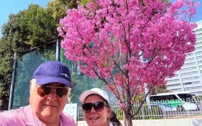 Tips for Travel to Japan