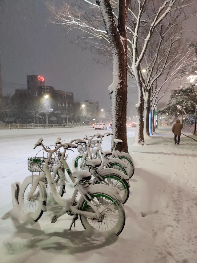 Weather Seoul South Korea: Snow