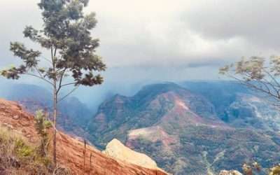 How to Get to Kauai Hawaii and What to Do in Kauai Hawaii