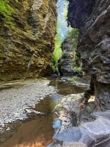 Narrow canyon with rugged rock walls and stream.