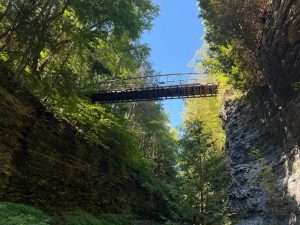 Bridge over forested gorge under blue sky.
