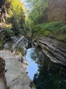 Scenic gorge with green foliage and rock formations.