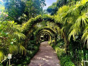 Lush garden path beneath leafy archways.