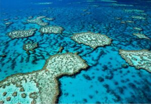 Aerial view of coral reef in blue ocean
