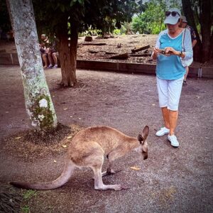 Woman photographing kangaroo in outdoor setting.