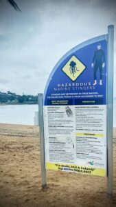 Warning sign about hazardous marine stingers on beach.