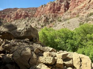 Rocky canyon with green trees below cliffs.