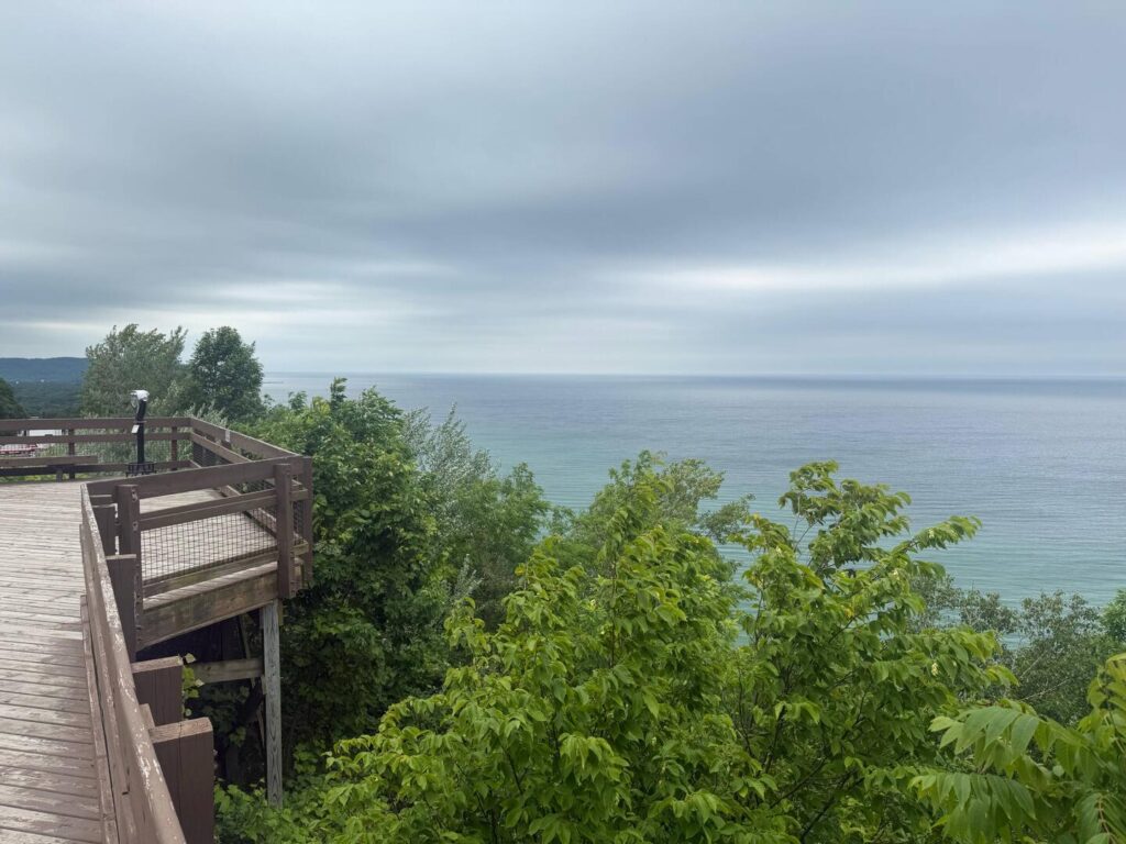 Wooden deck overlooking ocean and green trees.