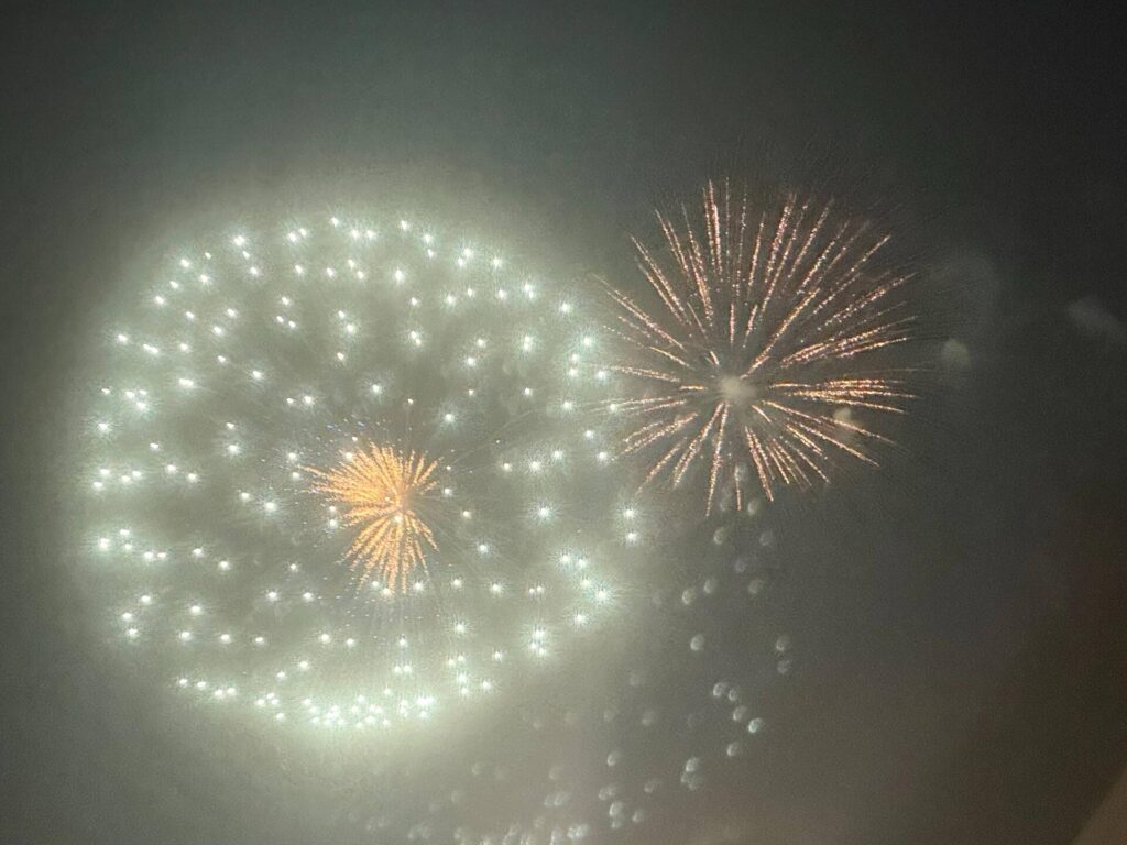 Colorful fireworks explode in night sky celebration.