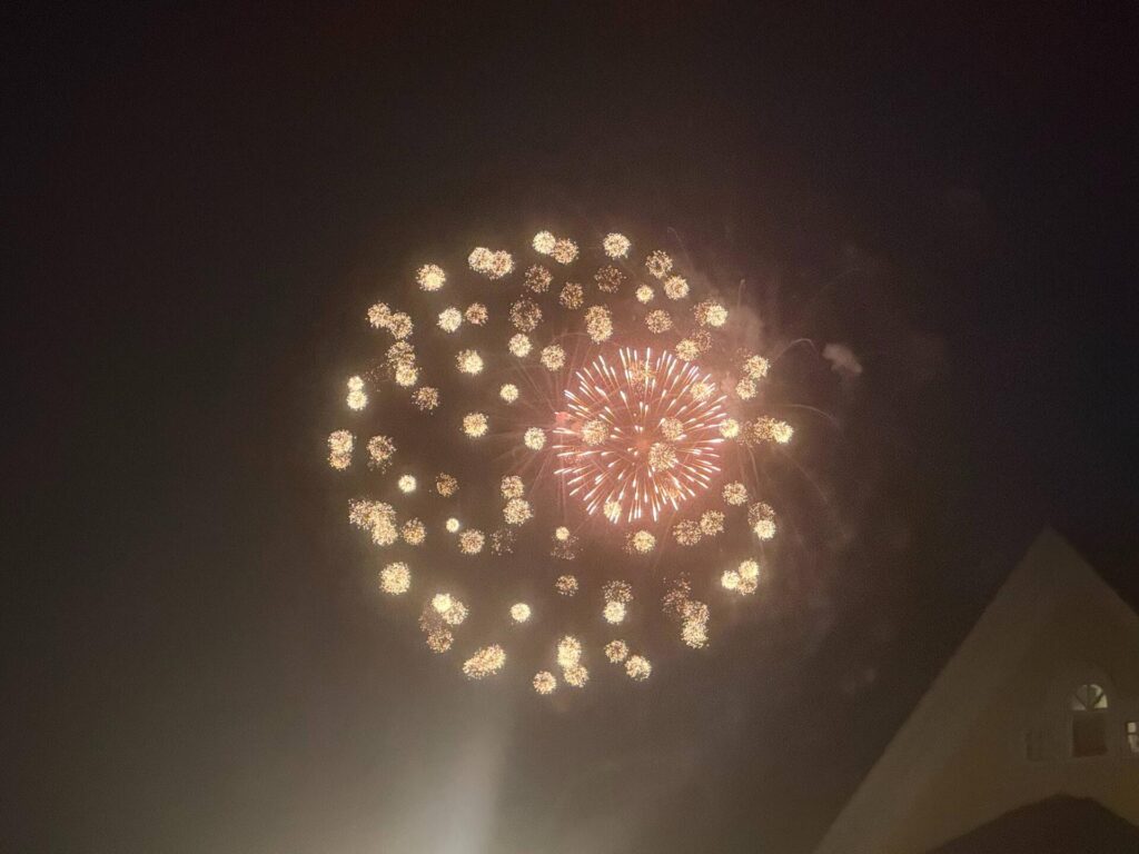 Colorful fireworks illuminating night sky.