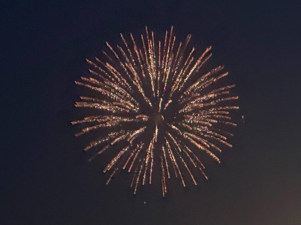Bright fireworks explosion in night sky.