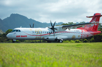 Airplane on grassy field with mountains backdrop