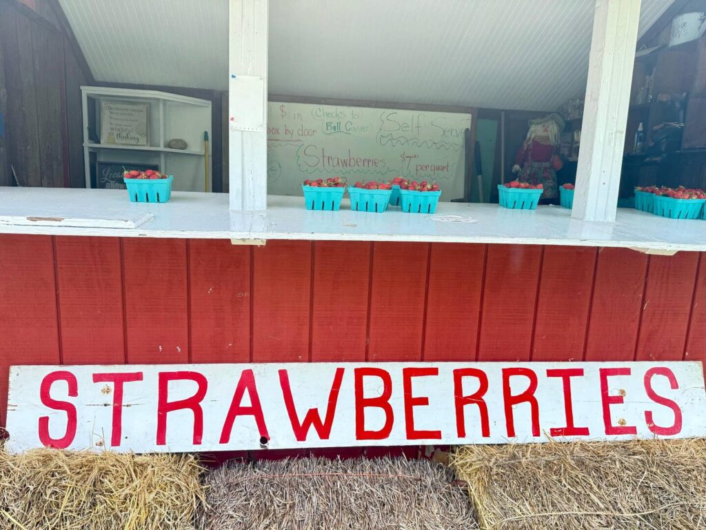 Farm stand selling fresh strawberries.