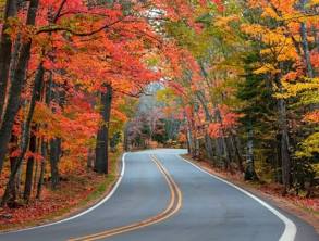 Winding road through vibrant autumn trees