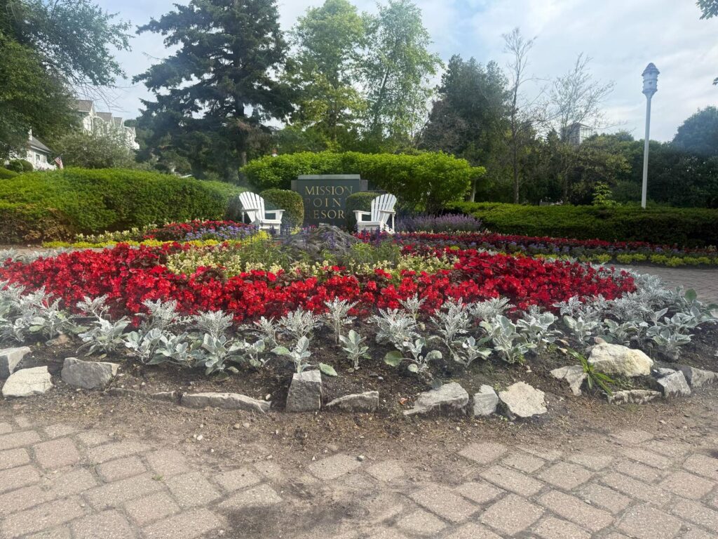Colorful garden with flowers and seating area.
