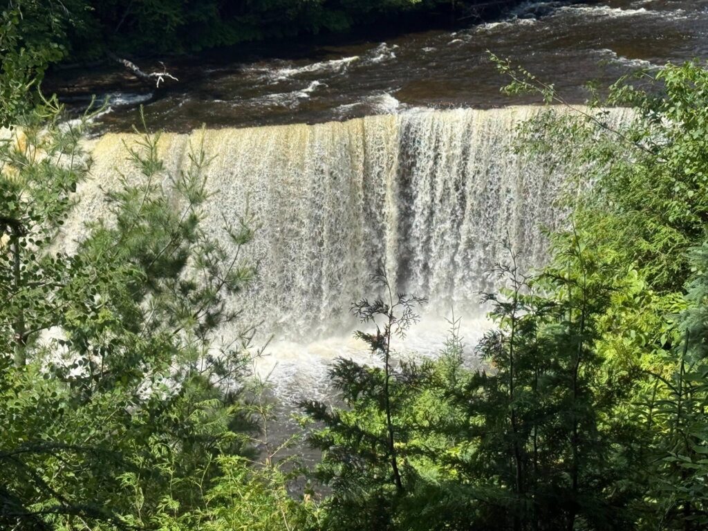 Scenic waterfall surrounded by lush green forest.