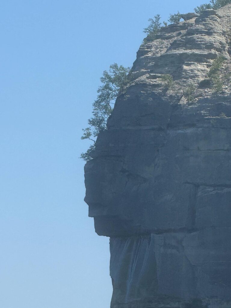 Rock face resembling human profile with tree growth.