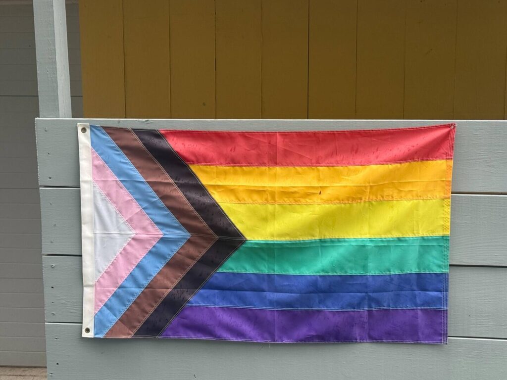 Progress Pride flag hanging on a fence