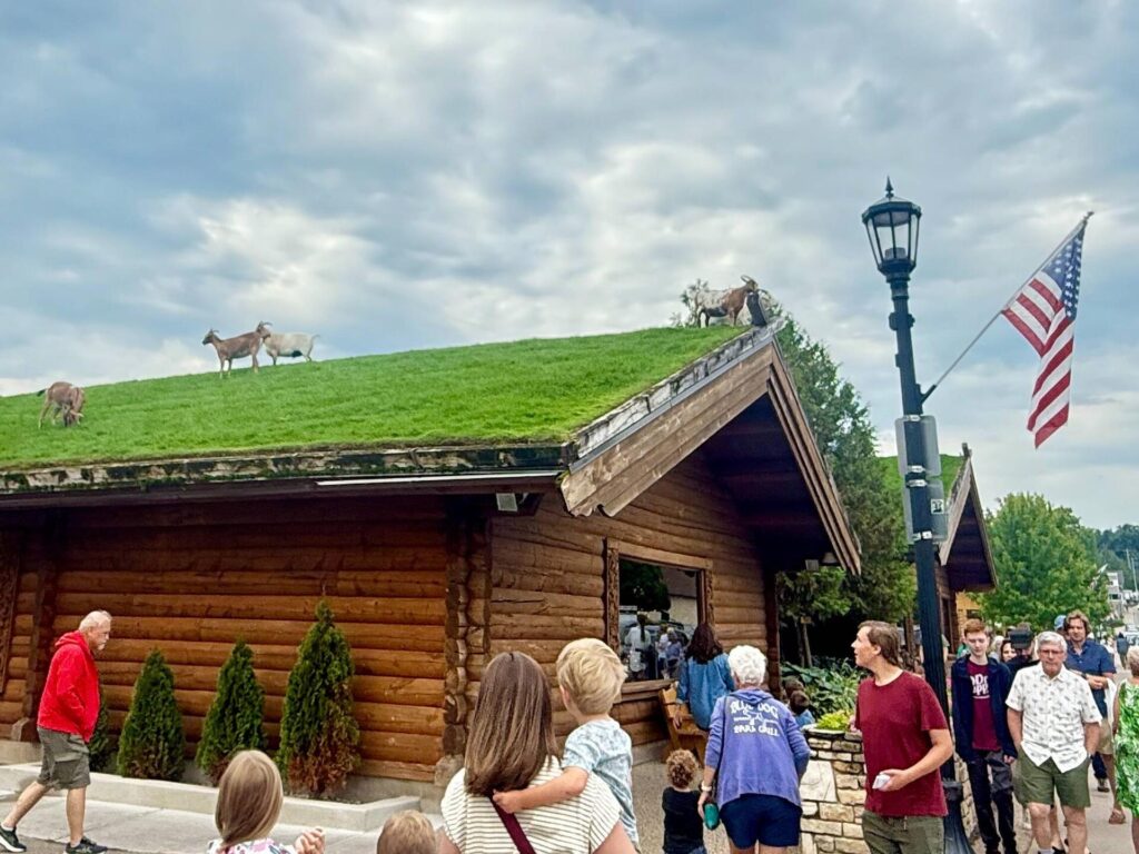 Goats grazing on a grassy roof of a cabin.