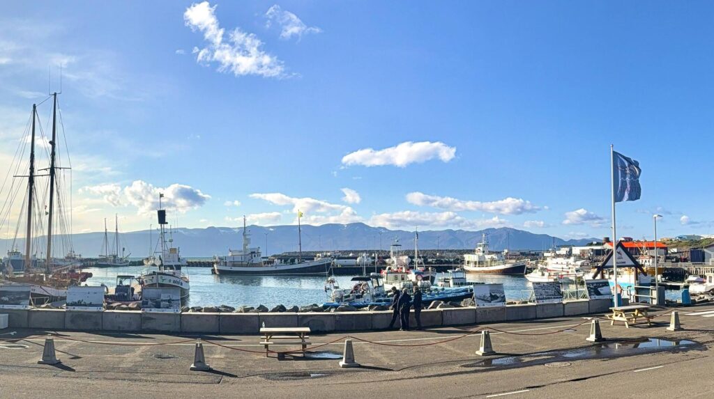 Harbor with boats and mountains in background