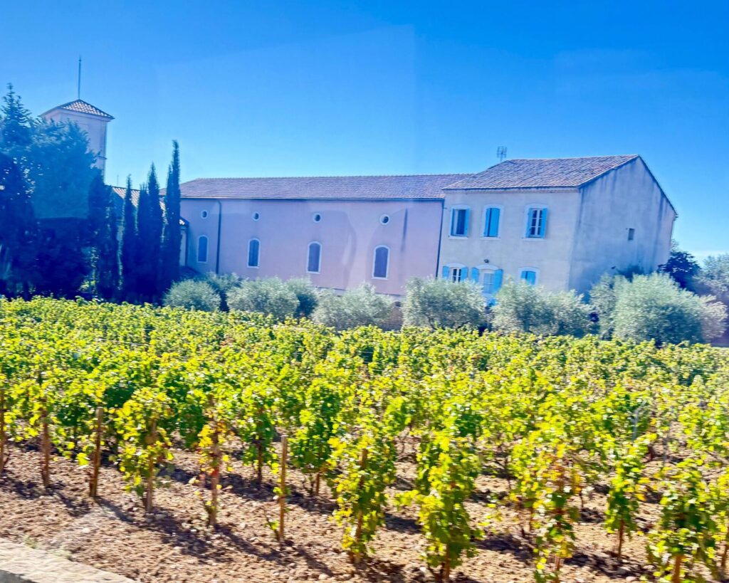 Chateau with vineyard under clear blue sky.