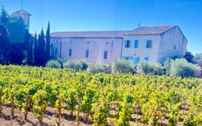 Burgundy, Champagne & Rhone River Valley