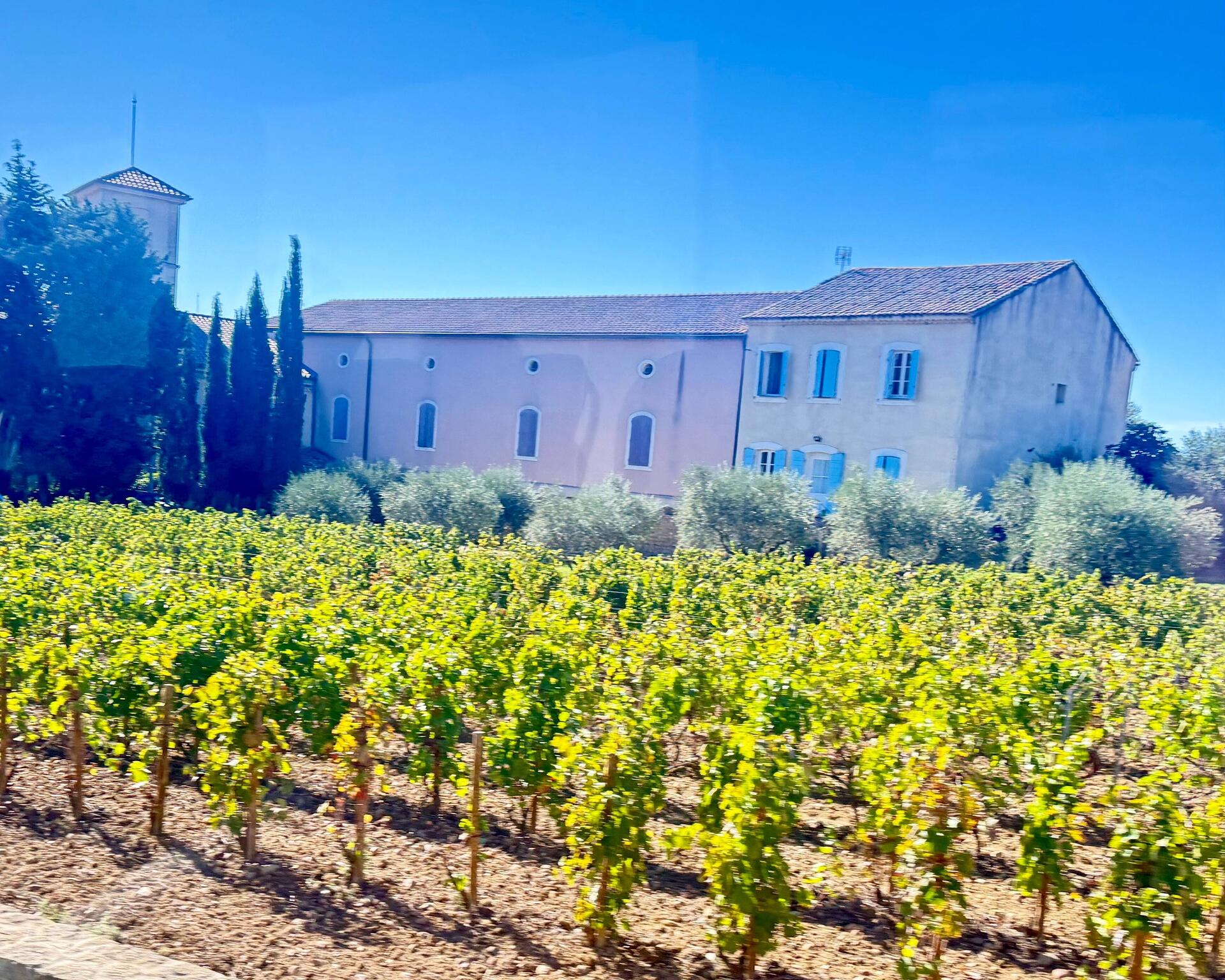 Chateau with vineyard under clear blue sky.